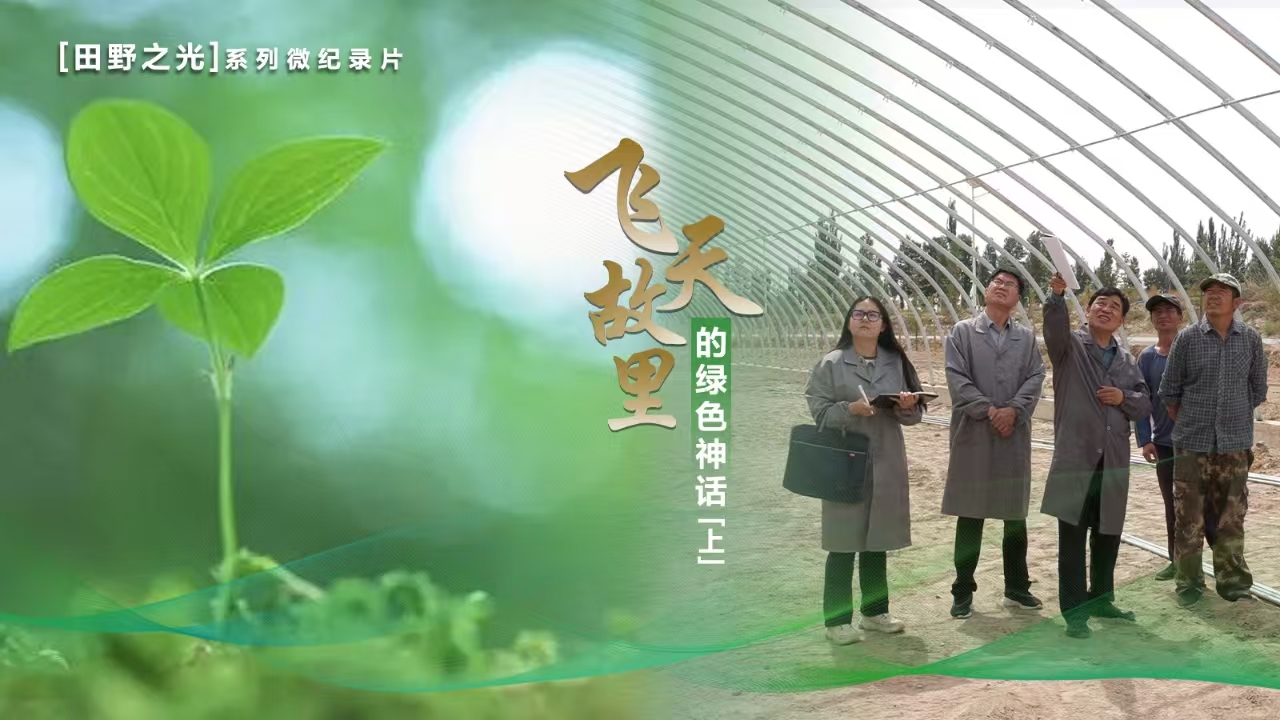 【微紀錄】田野之光（5）｜飛天故里的綠色神話(上)